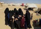 Buah Simalakama Masalah WNI Eks ISIS