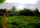 Surau Kecil di Kampung Kami