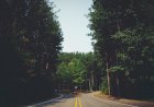 Cinta Di Persimpangan Jalan