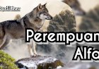 [Cerpen] Perempuan Alfa