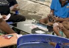 Mantra kemenangan