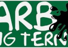 Karbol yang ternoda