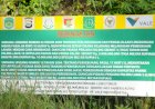 Merebut Tanah Kelahiran
