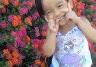 ILMU