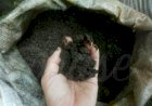 Ashes to Ashes, Dust to Dust