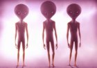 Pengantin Ganteng Disambar Alien