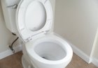 Obsesi Membersihkan Toilet … Eeeeeww