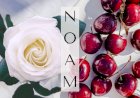 Noam