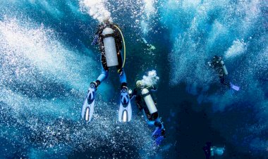 Alasan Orang Takut Untuk Mencoba Diving