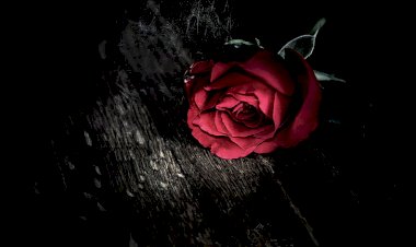 KUTUKAN JAHANAM 14 FEBRUARI