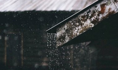 Hujan di Dini Hari yang Lelap | _Mendamba Pingkan ~ 2_