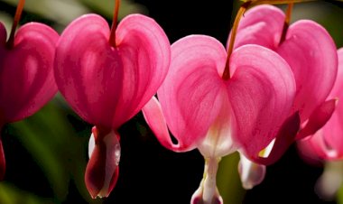 Luka ini Indah : titi