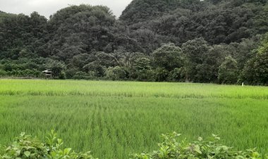 Gengsi Tinggal Kenangan