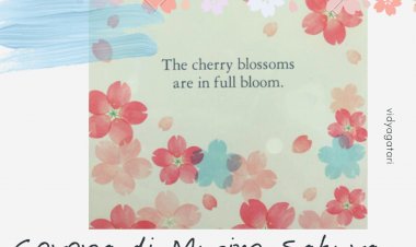 Corona di Musim Sakura