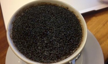 Kopi Tak Lupa Jalan Pulang