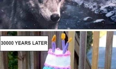 Repotnya Jadi Anjing Zaman Now