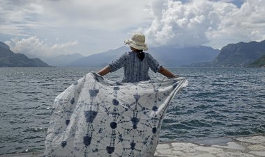 The Winner Take It All