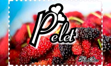 [Cerpen] Pelet