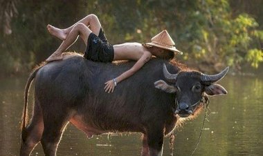 Menenteng Kepala ke Belantara Liar Afrika