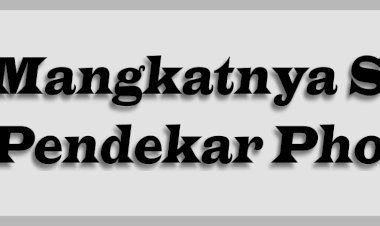 Mangkatnya Sang Phoenix (Bagian II)