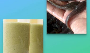 Lele vs jus kacang hijau