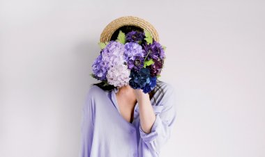 Panik ku, petaka ku !