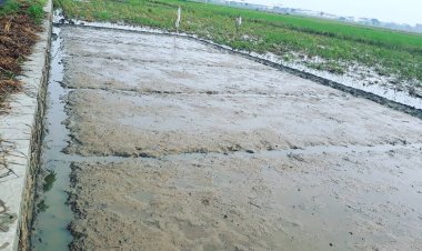 Semangat Berproses