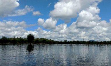 Alien di Negeri Sendiri