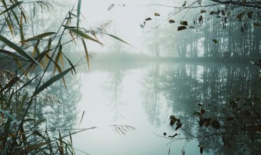Kolam Muna ( Menanti Dalam Gelap )