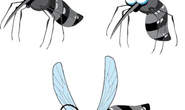 Persiapan Balas Dendam