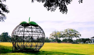 Pulang Kampung