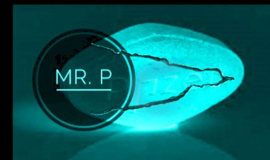Mr.P