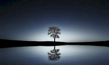 Till Death Do Us Part