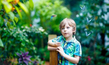 Kiel dan Seekor kupu-kupu