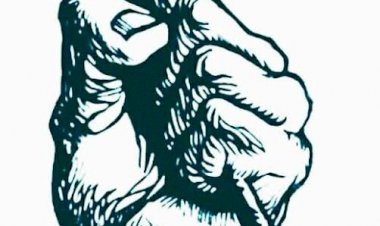 Seorang pejuang kehidupan