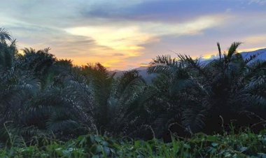 Kita Ini Sodara! Sodara!