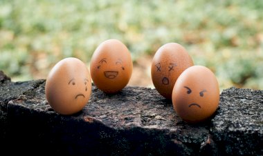 Emoji: Representasi Ekspresi dan Bahasa Tubuh di Tengah Keterbatasan Interaksi Masa Pandemi