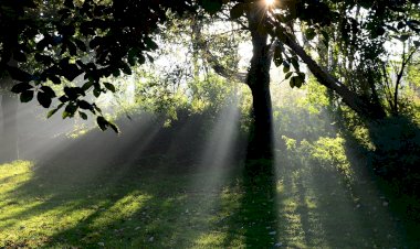 Di mana ada Kelebihan, di sana ada Kembalian.