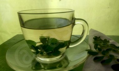 Seduh Moringa, Jauhi Corona
