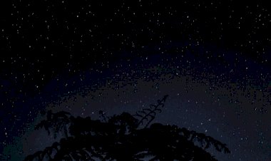 Cinta Bukan Segalanya