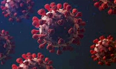 Apa Dan Siapa Tujuan Dibalik Covid-19