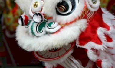 Lampiran Tak Terduga