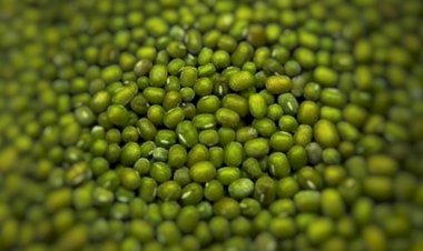 Semangkok Bubur Kacang Hijau