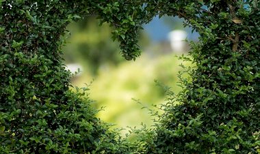 Soul.....where are you?