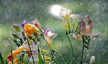 Biarkan ‘Ku Ketukkan Langit