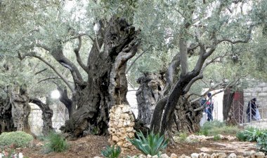 SEUNTAI KISAH KEBAIKAN