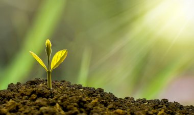 Ibadah yang bertumbuh