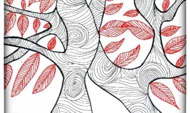 KAU BISA MENJELMA APA SAJA, TERNYATA