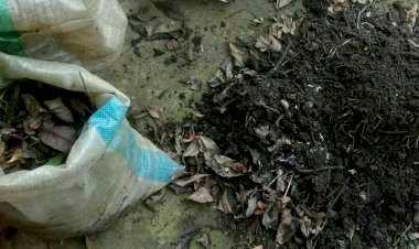 Zero Waste
