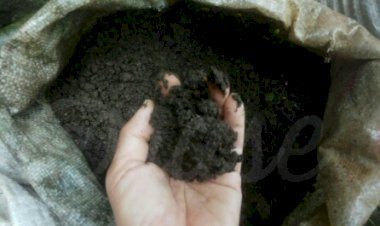 Ashes to Ashes, Dust to Dust